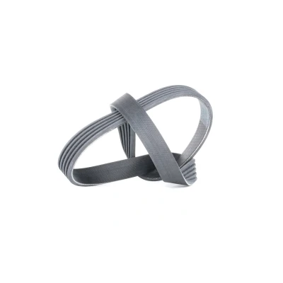 Abbildung von CONTITECH 5PK725 Keilrippenriemen 725 5 PEUGEOT: 206 Hatchback, SW, 405 I Saloon, CITROËN: Saxo Hatchback