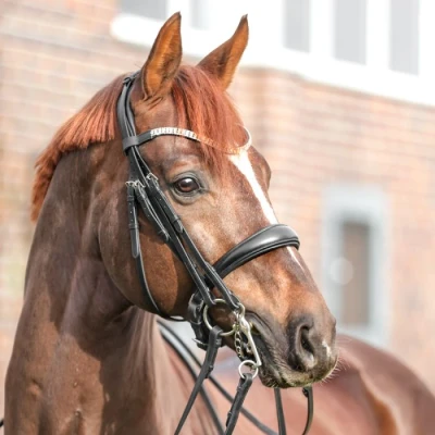 Abbildung von Kavalkade Double Bridle Sonya