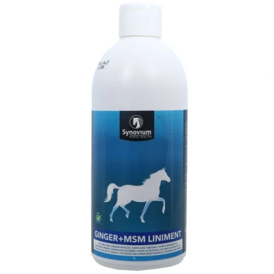 Abbildung von Synovium Ginger MSM Liniment 500ml