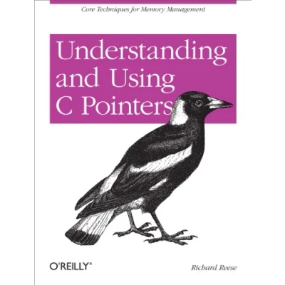 Abbildung von Understanding and Using C Pointers: Core Techniques for Memory Management