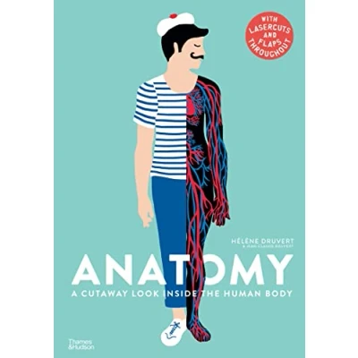 Abbildung von Anatomy: A Cutaway Look Inside the Human Body