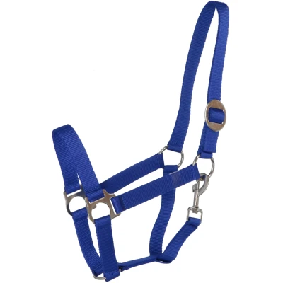 Abbildung von Premiere Halfter Standard Blau Warmblut