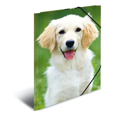 Abbildung von HERMA Sammelmappe A3 Hunde, Kinder Eckspanner Mappe aus Kunststoff mit Tier Motiv, Gummizug, Innenklappen und Innendruck für Jungen Mädchen