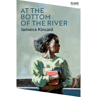 Abbildung von At the Bottom of River (Picador Collection)