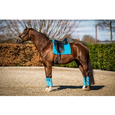 Abbildung von HB Showtime Schabracke Crown Dressur Türkis Pony
