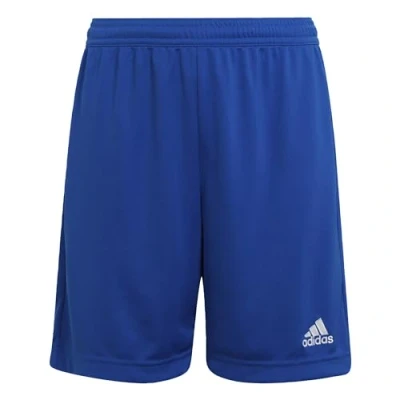 Abbildung von adidas Unisex Kinder Entrada 22 Shorts, Royal Blue, 9 10 Years