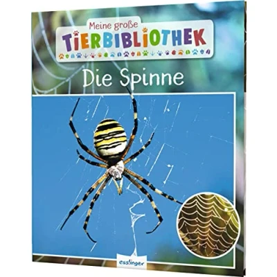 Abbildung von Meine große Tierbibliothek: Die Spinne: Sachbuch für Vorschule &amp; Grundschule