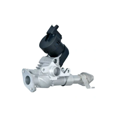 Abbildung von HELLA 6NU 014 864 981 AGR Ventil elektrisch mit Dichtungen BMW: 3 Touring, Saloon, 1 Hatchback