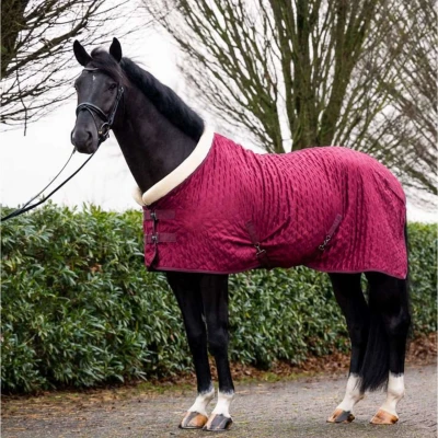 Abbildung von HB Showdecke Showtime Velvet Spring Burgunderrot 125/175 Agradi.deVerkauft von Agradi