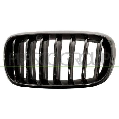 Abbildung von PRASCO BM8272004 Kühlergrill links glatt schwarz BMW: X5