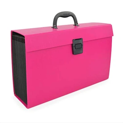Abbildung von Rapesco 1554 Fächermappe Aktentasche 19 Fach Dokumentenbox, A4+, Fuchsia
