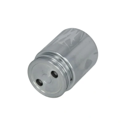 Abbildung von AUTOFREN SEINSA D025251 Kolben, Bremssattel 38 Hinterachse Ate MAZDA: 5