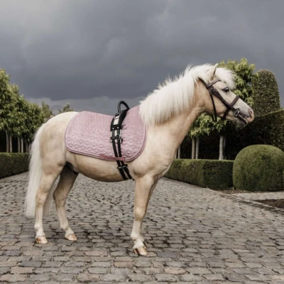 Abbildung von Kentucky Schabracke Velvet Old Rose Pony Agradi.deVerkauft von Agradi