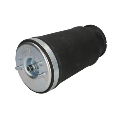 Abbildung von Magnum Technology MZB010MT Luftfeder, Fahrwerk Hinterachse links BMW: 5 Touring