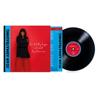 Abbildung von How Did This Happen What Does It Now Mean (LP) [Vinyl LP]