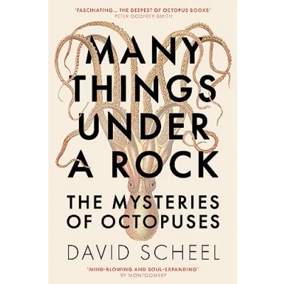 Abbildung von Many Things Under a Rock: The Mysteries of Octopuses