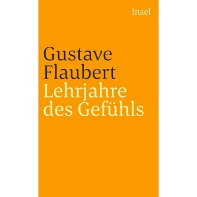 Abbildung von Lehrjahre des Gefühls: Geschichte eines jungen Mannes. Roman (insel taschenbuch)