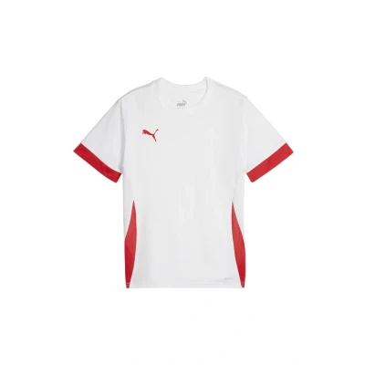 Abbildung von PUMA teamGOAL Matchday Jersey jr
