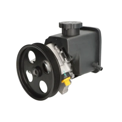 Abbildung von Hydraulikpumpe, Lenkung HELLA 8TL 359 003 131