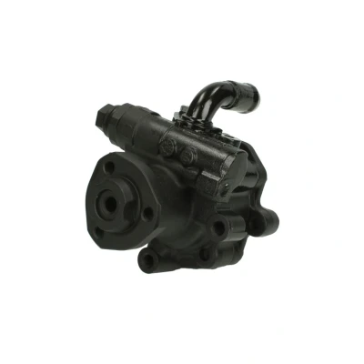 Abbildung von SPIDAN 53950 Hydraulikpumpe hydraulisch SEAT: Leon I Hatchback, Alhambra I, AUDI: A3 VOLKSWAGEN: Sharan Caddy 3