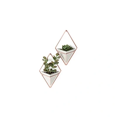 Abbildung von Umbra Trigg Wandvase &amp; Geometrische Deko Übertopf Für Zimmerpflanzen, Sukkulenten, Luftpflanzen, Kakteen, Kunstpflanzen und Mehr, Beton/Kupfer, 2er Set, Klein