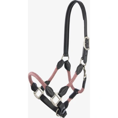 Abbildung von LeMieux Halfter Ropella Cranberry Warmblut Agradi.deVerkauft von Agradi