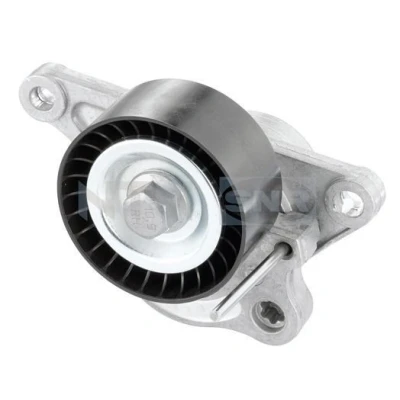 Abbildung von SNR GA355.31 Spannrolle RENAULT: MASTER 3 Kasten, SCENIC 3, ESPACE 4, NISSAN: Qashqai / Qashqai+2 I