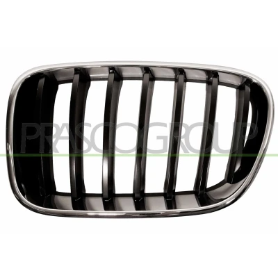 Abbildung von BLIC 6502 07 00939970P Kühlergrill vorne links chrom, schwarz BMW: X3