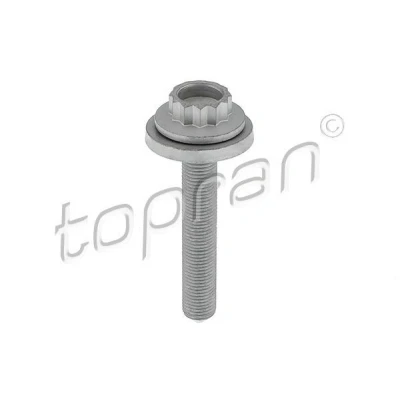 Abbildung von TOPRAN 117 991 Riemenscheibenschraube VOLKSWAGEN: Polo V Hatchback, Golf 7 Variant