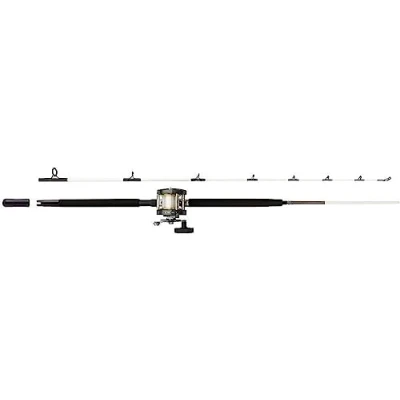 Abbildung von Mitchell Performance Bootsrute+ Rolle Combo RH 1.68m (10 30g) Meeresrute