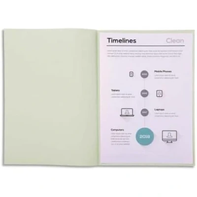 Abbildung von Exacompta 850009E Aktendeckel Packung (22 x 31cm, ideal zum Schutz Ihre Dokumente in Format DIN A4, 21 29,7 cm) 250er Pack grau