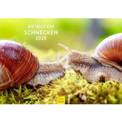 Abbildung von Edition Seidel Premium Kalender Die Welt der Schnecken 2025 Format DIN A3 Wandkalender Tierkalender Schnecke Kriechtiere Natur