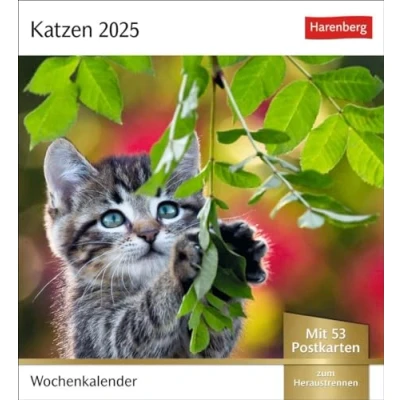 Abbildung von Katzen Postkartenkalender 2025 Wochenkalender mit 53 Postkarten: Jede Woche ein süßes Kätzchen im Postkarten Fotokalender. Tischkalender für ... zum Aufhängen (Postkartenkalender Harenberg)