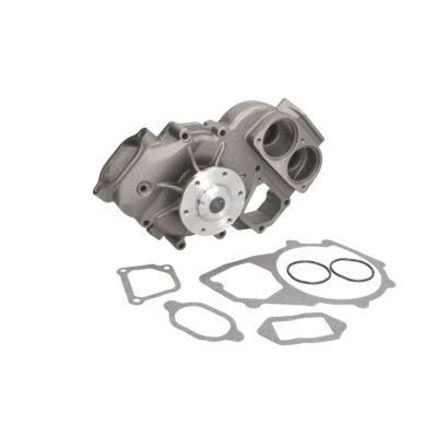Abbildung von THERMOTEC WP MN101 Wasserpumpe Grauguss mit Dichtungen
