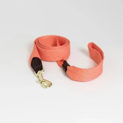 Abbildung von Kentucky Hundeleine Jacquard Neonorange 140cm
