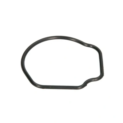 Abbildung von AJUSA 01096800 Dichtung, Thermostat OPEL: Meriva A, Tigra Twintop