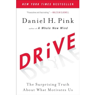 Abbildung von Drive: The Surprising Truth About What Motivates Us