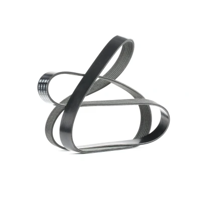 Abbildung von DAYCO 7PK1687S Keilrippenriemen 1687,0 7 RENAULT: MEGANE 3 Grandtour, SCENIC 3, NISSAN: Qashqai / Qashqai+2 I, 2