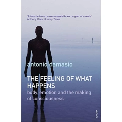 Abbildung von the Feeling of What Happens: Body and Emotion in Making Consciousness