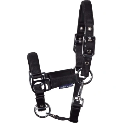 Abbildung von Harry&#039;s Horse Fohlenhalfter Padded Schwarz Veulen