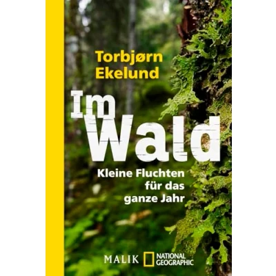 Abbildung von Im Wald: Kleine Fluchten für das ganze Jahr