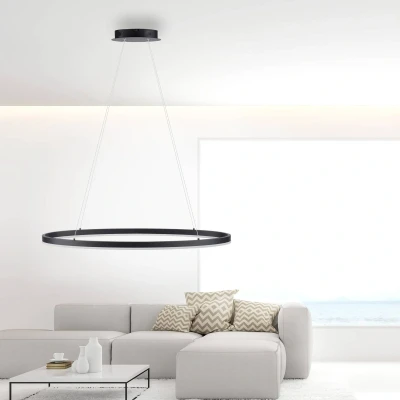 Abbildung von Paul Neuhaus Pendelleuchte »TITUS«, 1 flammig, Leuchtmittel LED Board fest integriert, LED, Simply Dim