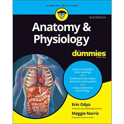 Abbildung von Anatomy &amp; Physiology For Dummies, 3rd Edition (For Dummies (Math Science))