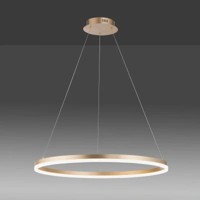 Abbildung von Paul Neuhaus Pendelleuchte »TITUS«, 1 flammig, Leuchtmittel LED Board fest integriert, LED, dimmbar, Simply Dim, Memory, nach Trennung vom Netz
