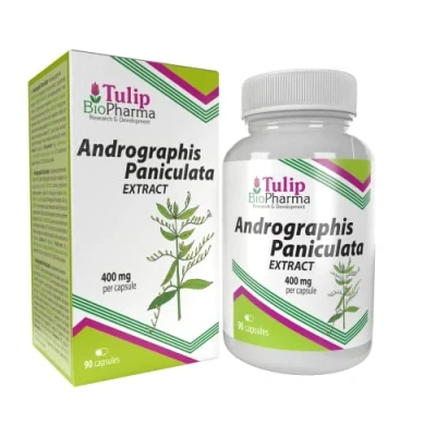 Abbildung von Andrographis Paniculata 400mg 90 Kapseln, Laborgeprüft, Hochdosiert, frei von Gluten und GVO