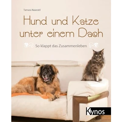 Abbildung von Hund und Katze unter einem Dach: So klappt das Zusammenleben