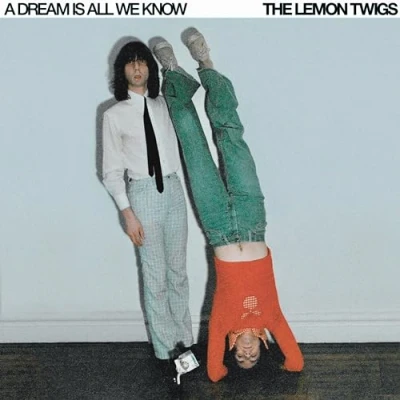 Abbildung von A Dream Is All We Know [Vinyl LP]