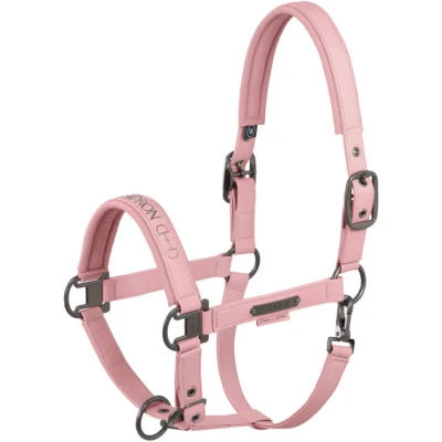 Abbildung von Eskadron Halfter Faux Leather Platinum &#039;25 Soft Rouge Pony Agradi.deVerkauft von Agradi
