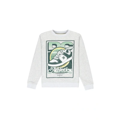 Abbildung von DC Shoes Manteca Tribute Sweatshirt für Kinder, Größe: 122/128, Sfrh light heather grey