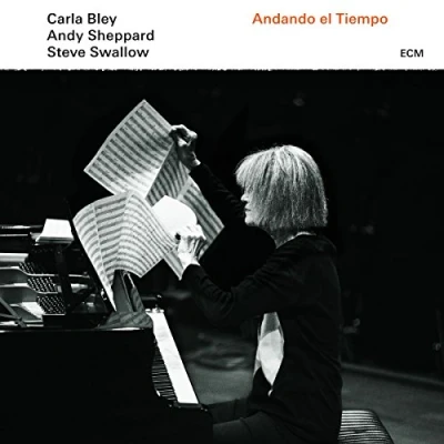 Abbildung von Andando El Tiempo [Vinyl LP]